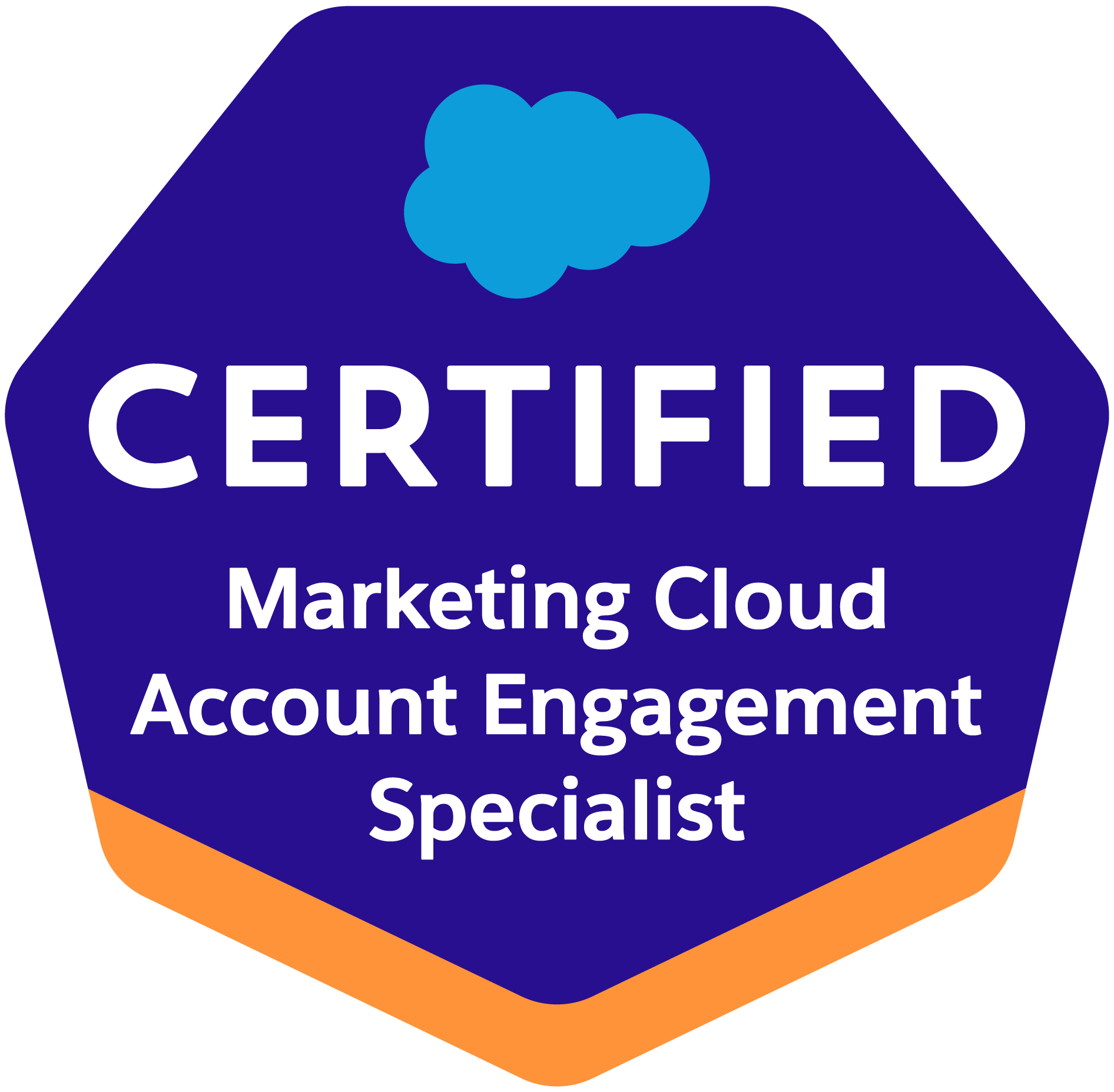 Insignia Salesforce Certified Marketing Cloud Engagement Specialist